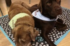 89845764_113876203565532_8693777207476092928_o